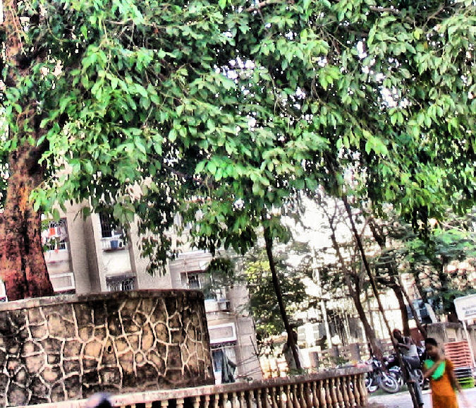 Photo - Ghanshyam Thakkar